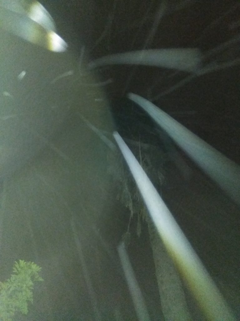 Abstract view of light beams and darkness.