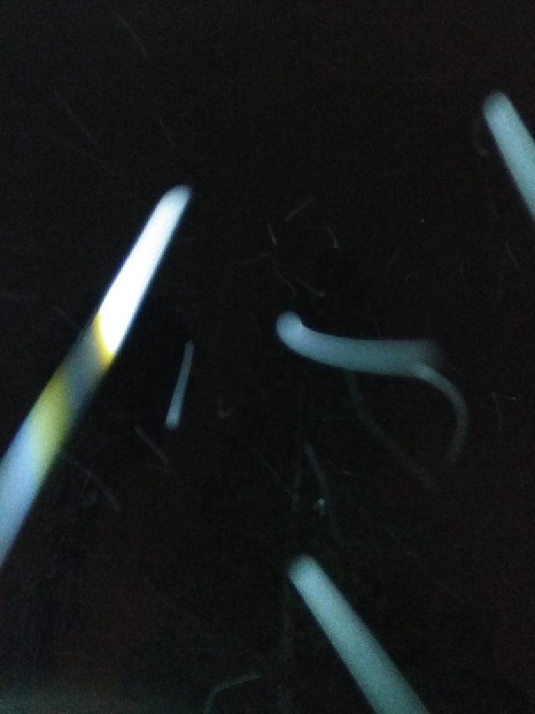 Abstract light streaks against dark background.