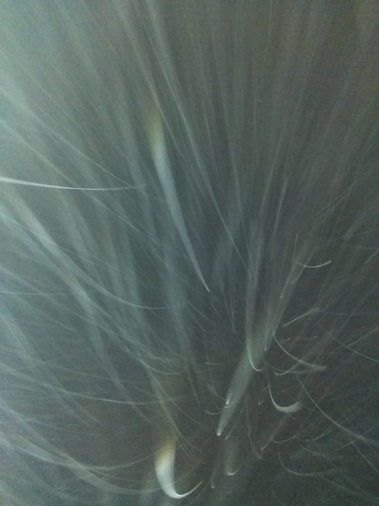 Abstract light streaks against a dark background.