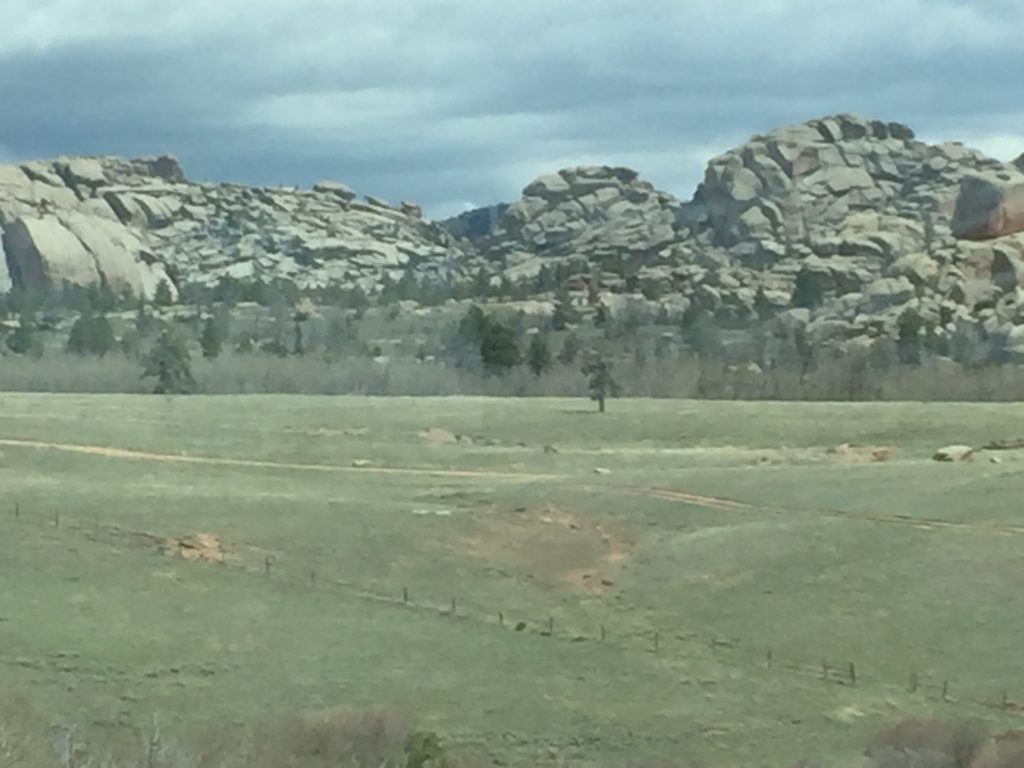 Rocky landscape with grassy field and trees.