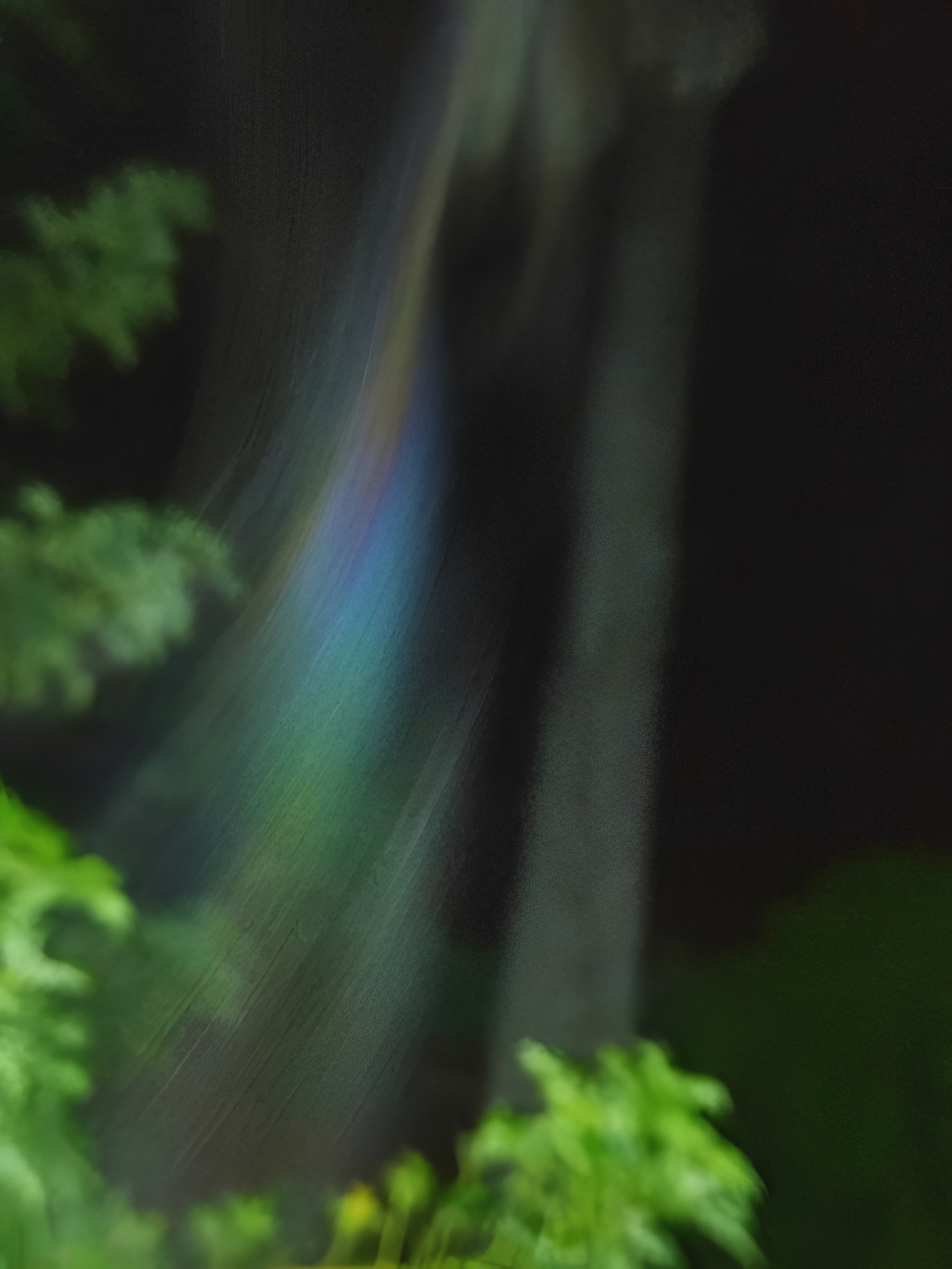 Colorful light streaks through forest at night