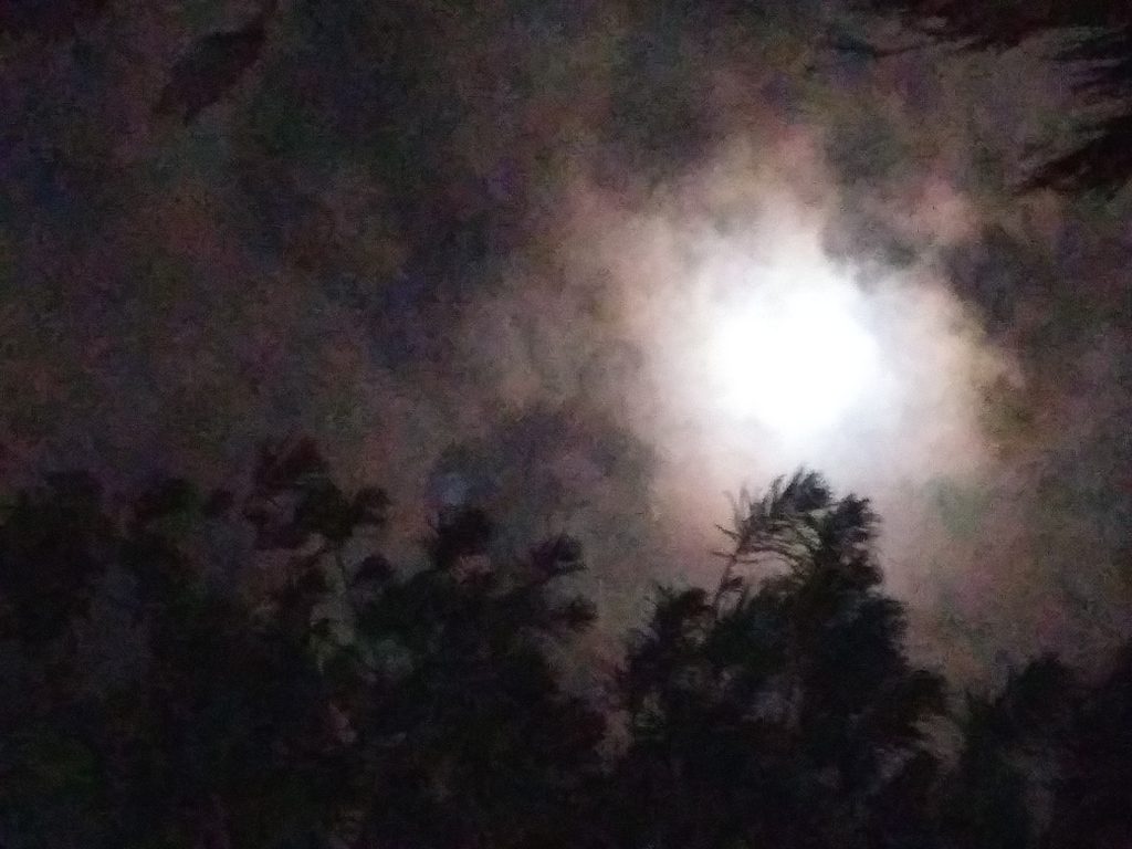 Moon shining through cloudy night sky.