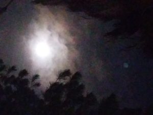 Moon night, just right