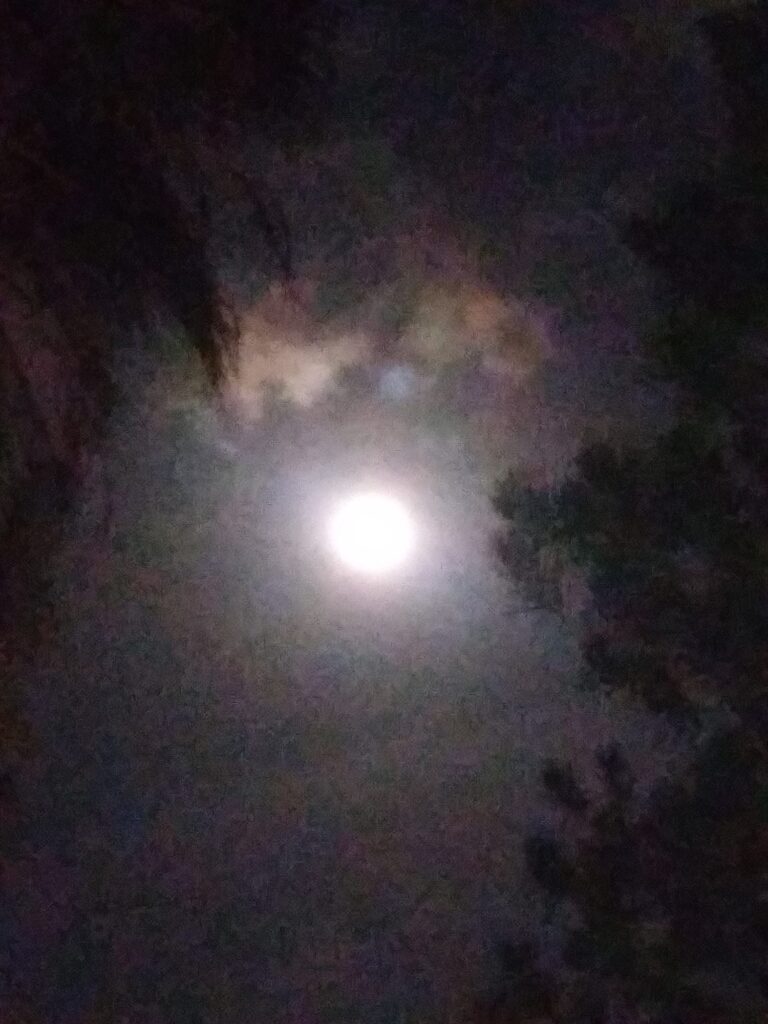 Full moon surrounded by clouds and trees.
