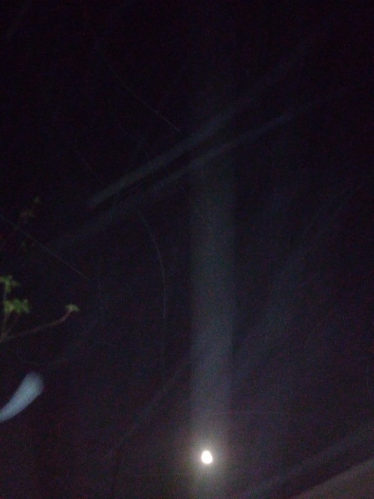 Moonlit night sky with faint tree branches.