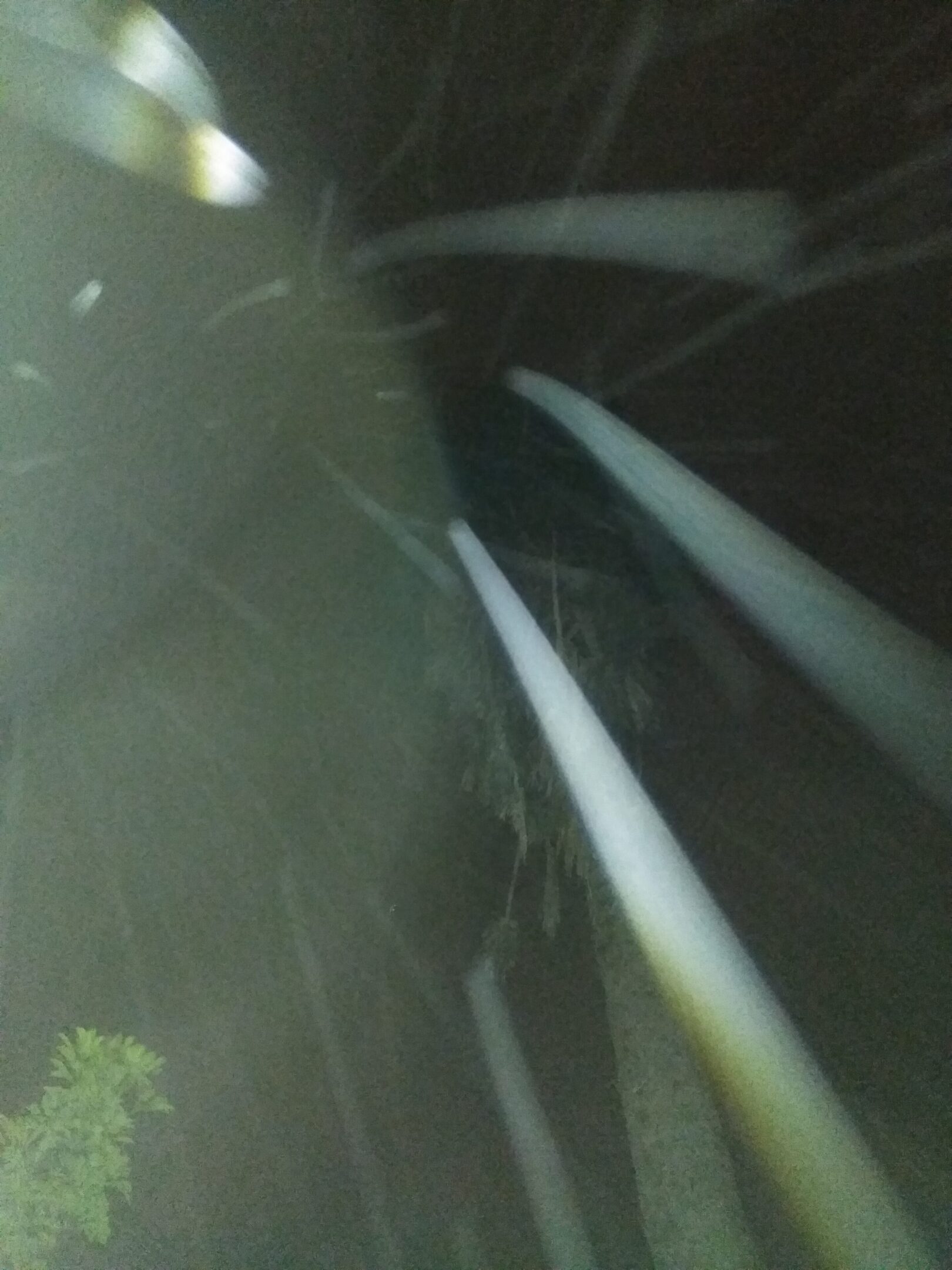 Blurry night sky with streaks of light.