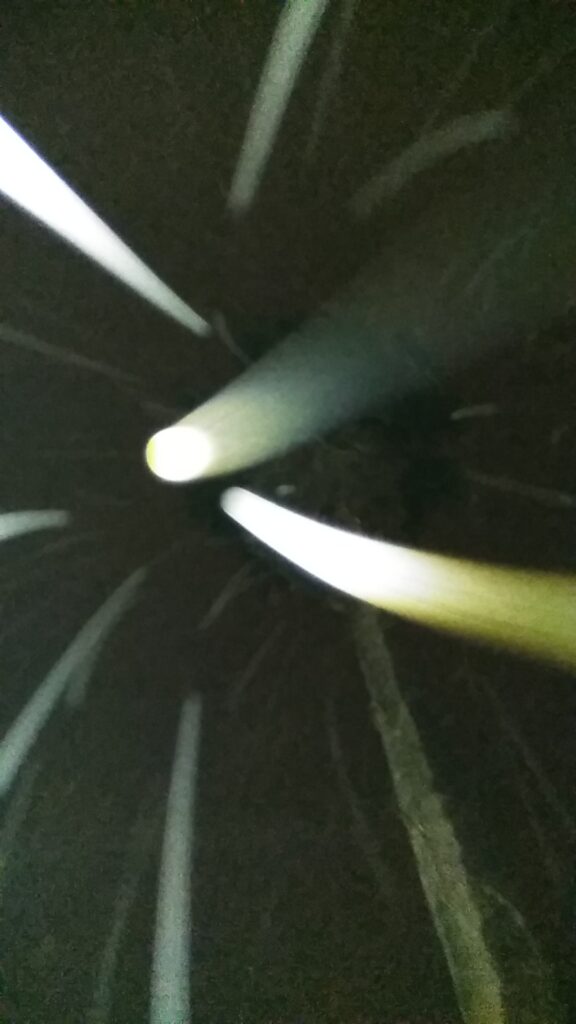Abstract light streaks in dark tunnel.