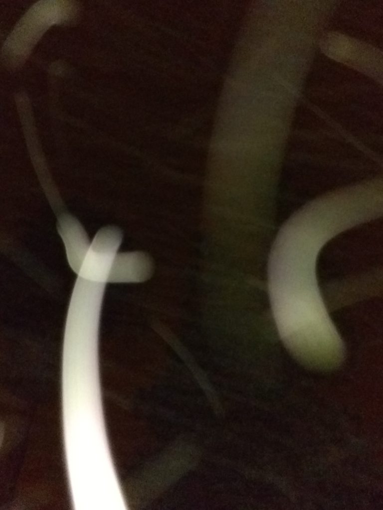 Abstract light trails on dark background.
