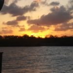 Sunset over water with silhouetted trees.