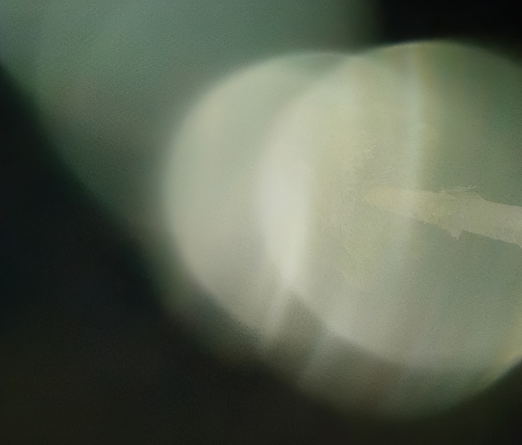 abstract green bokeh light circles