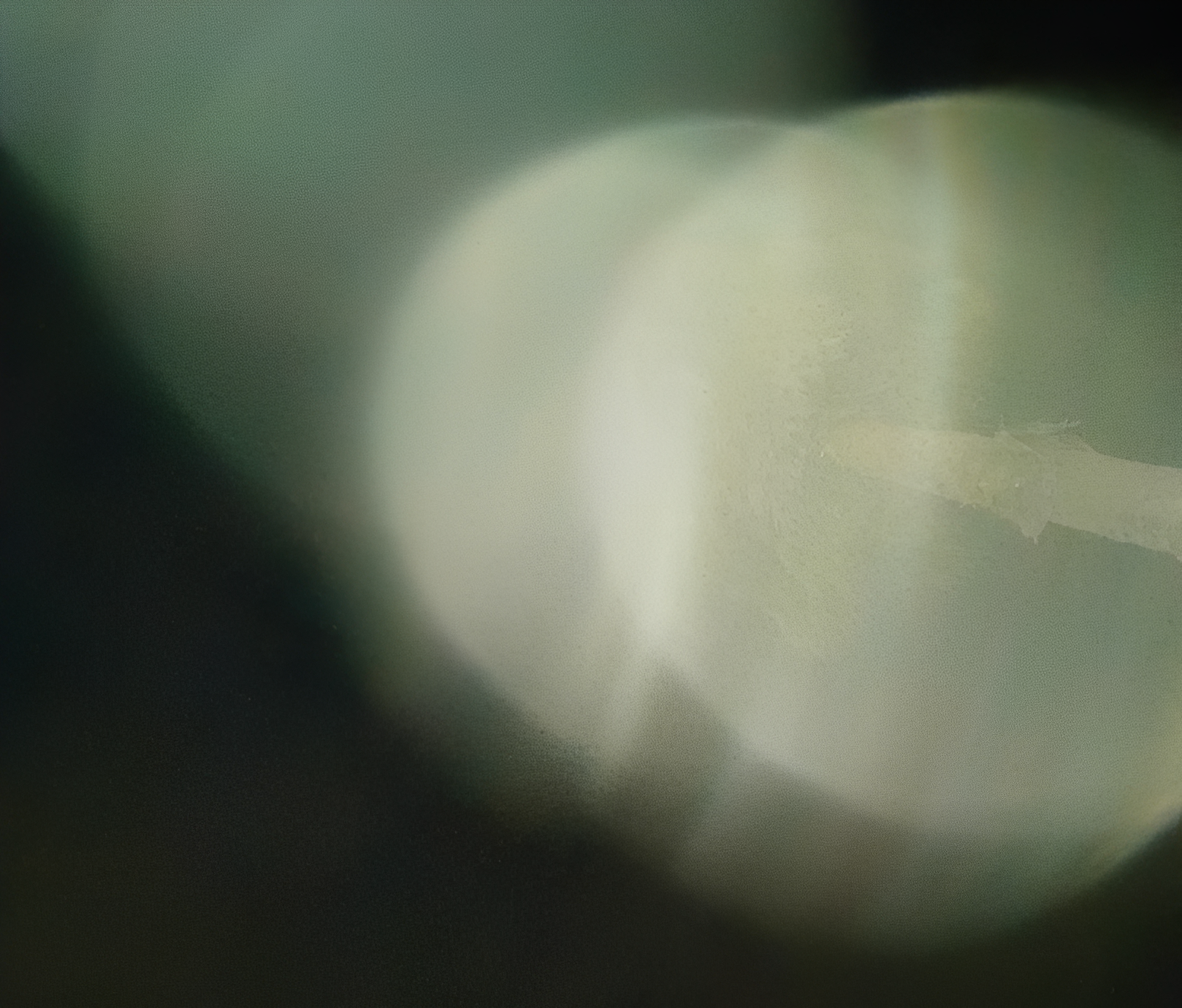 abstract green bokeh light circles