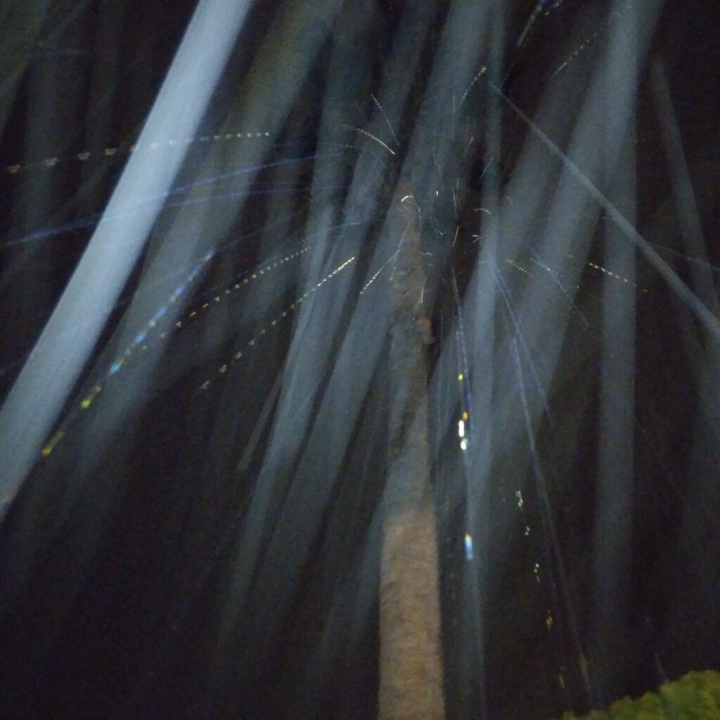 Back yard night Photo, drizzling