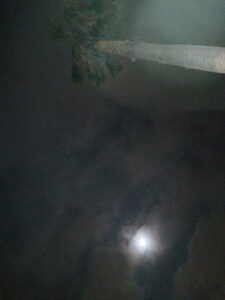 Palm tree silhouetted against cloudy night sky.