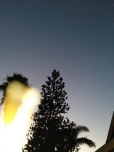 Trees silhouetted against a twilight sky.