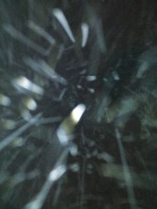 Abstract light streaks on a dark background.