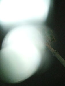 Blurry lights with dark background and stick.