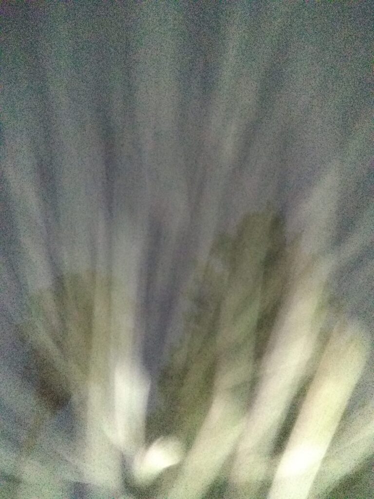 Blurred trees with light streaks at night.