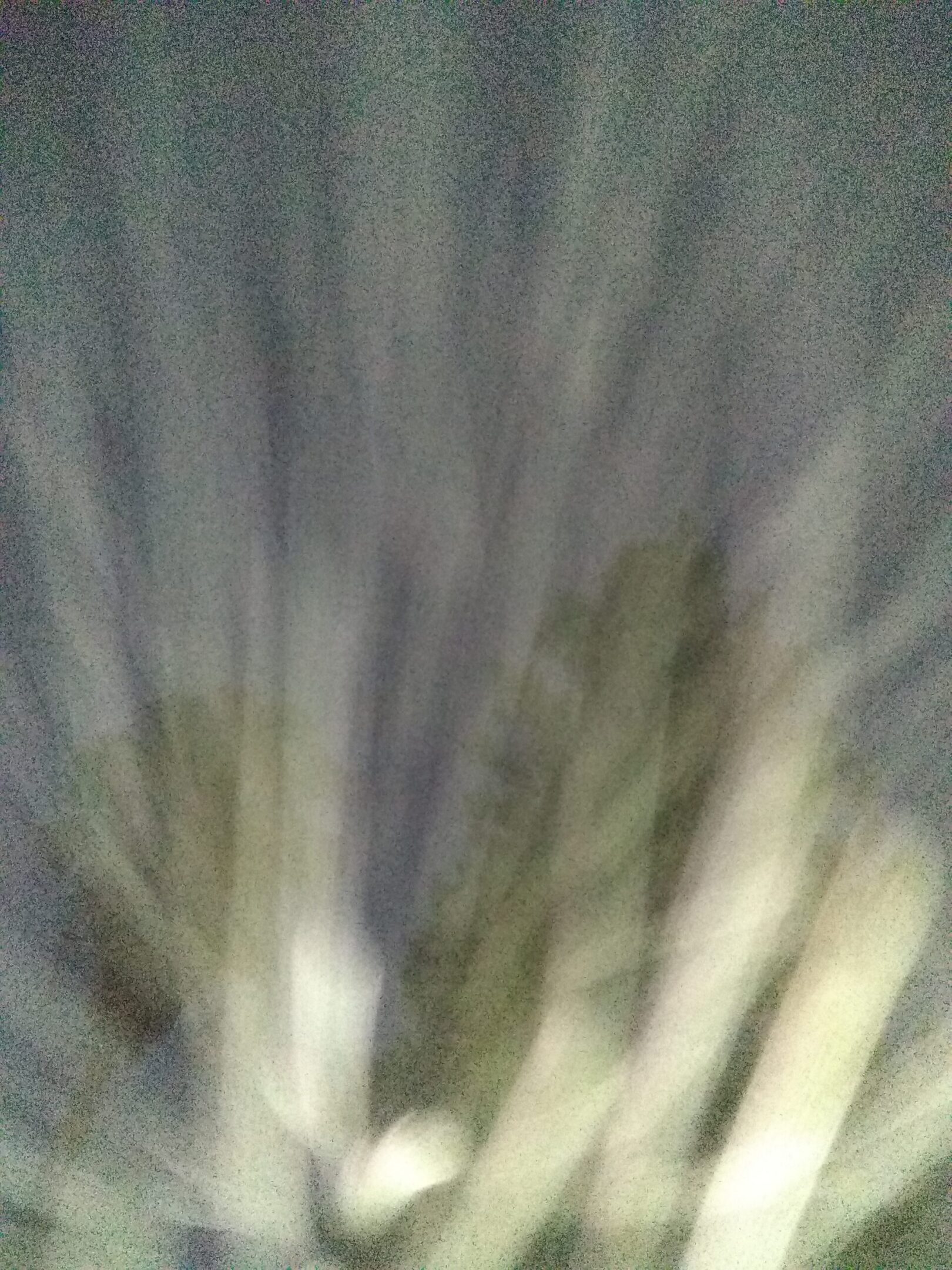 Blurred trees with light streaks at night.