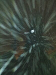 Blurry night scene with streaks of light.