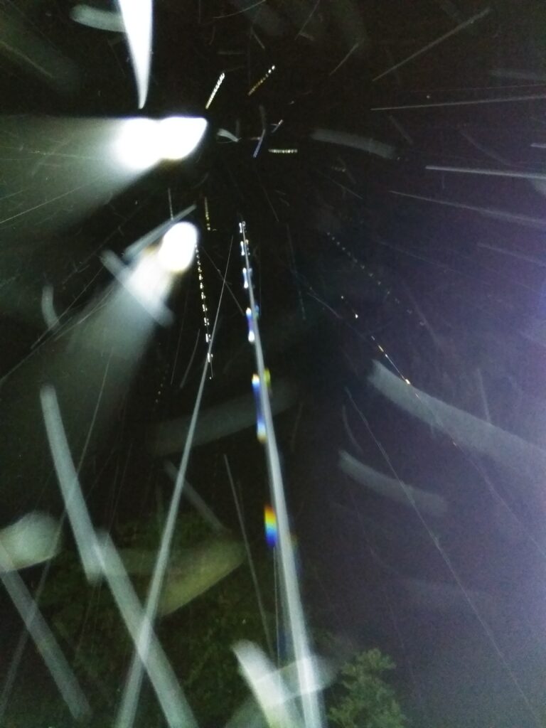 Spiderweb with light streaks at night.