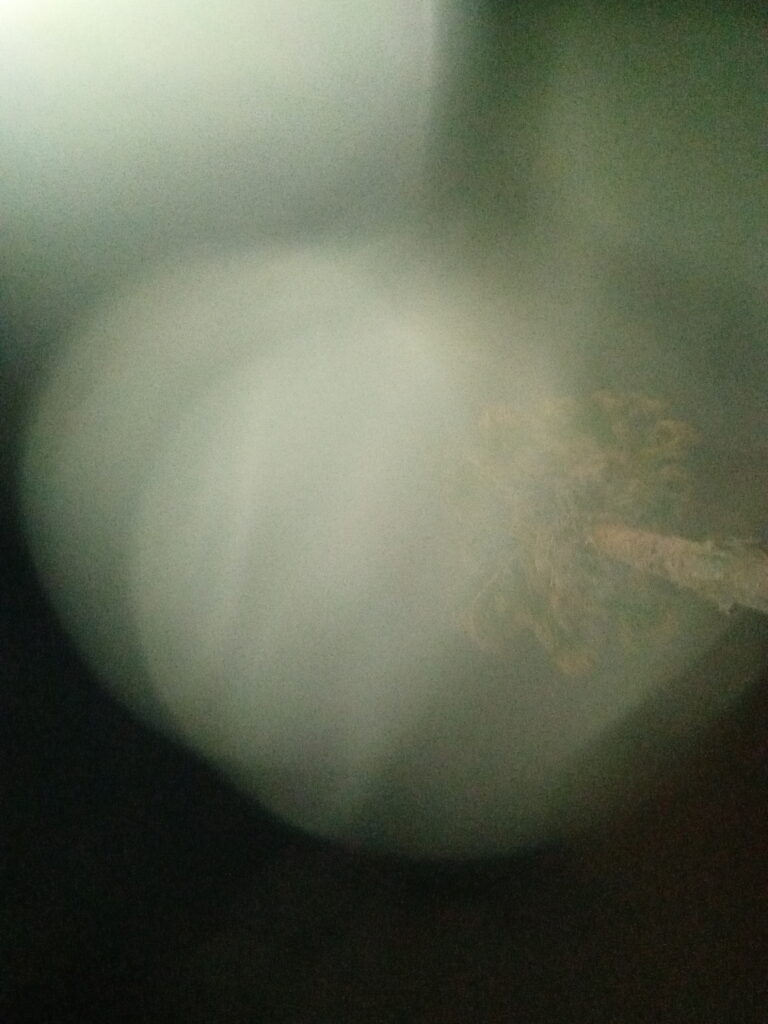 Blurry image of a tree at night.