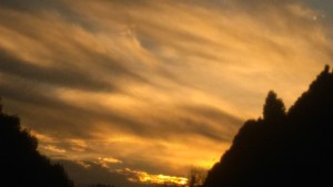 Sunset in the front yard