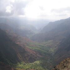 Foggy mountain valley with lush greenery.