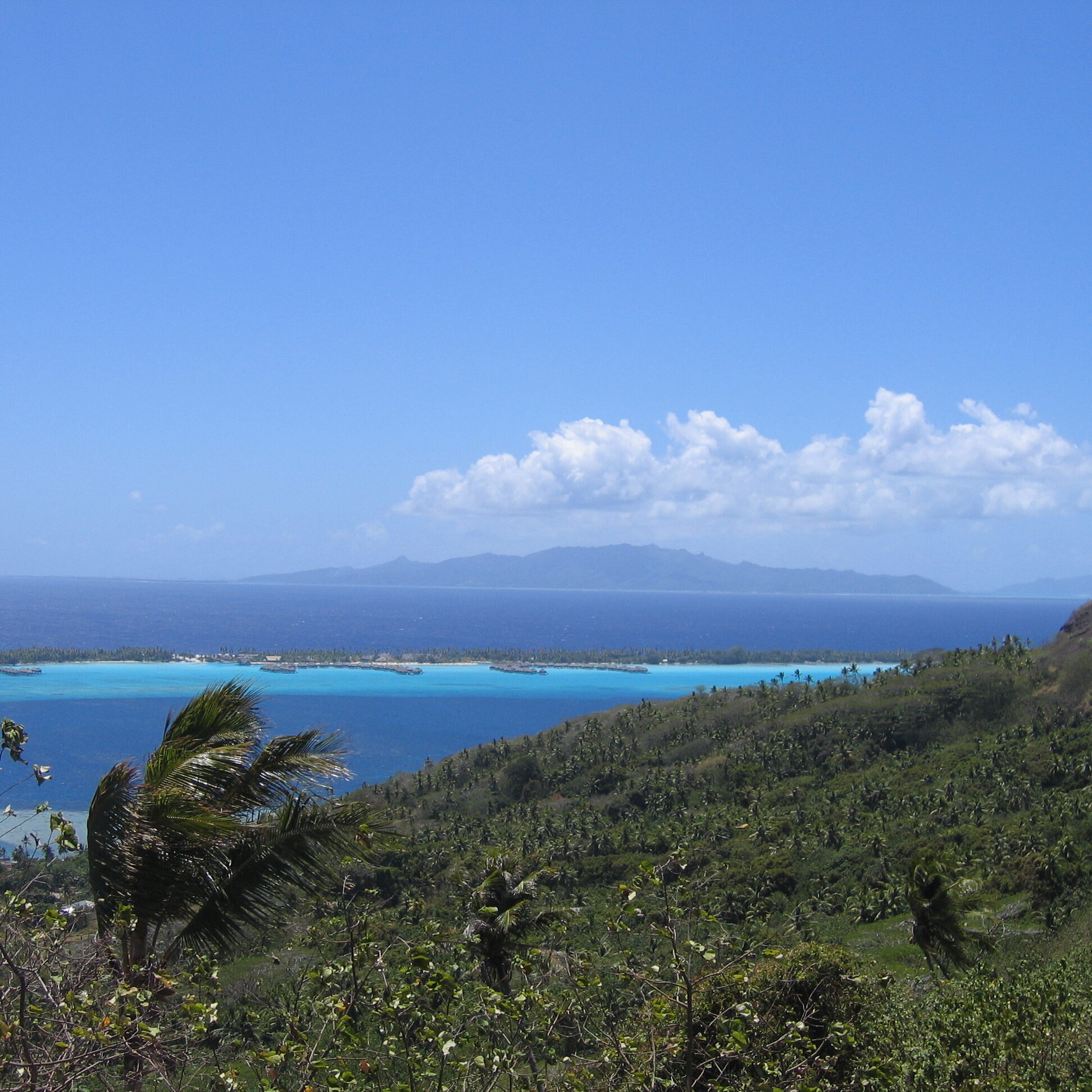 Tropical coastline with blue ocean and greenery.