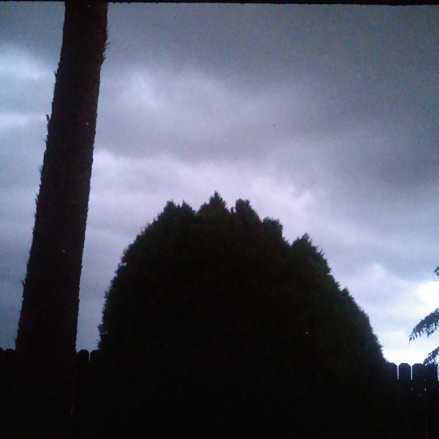Dark stormy sky over silhouetted trees.