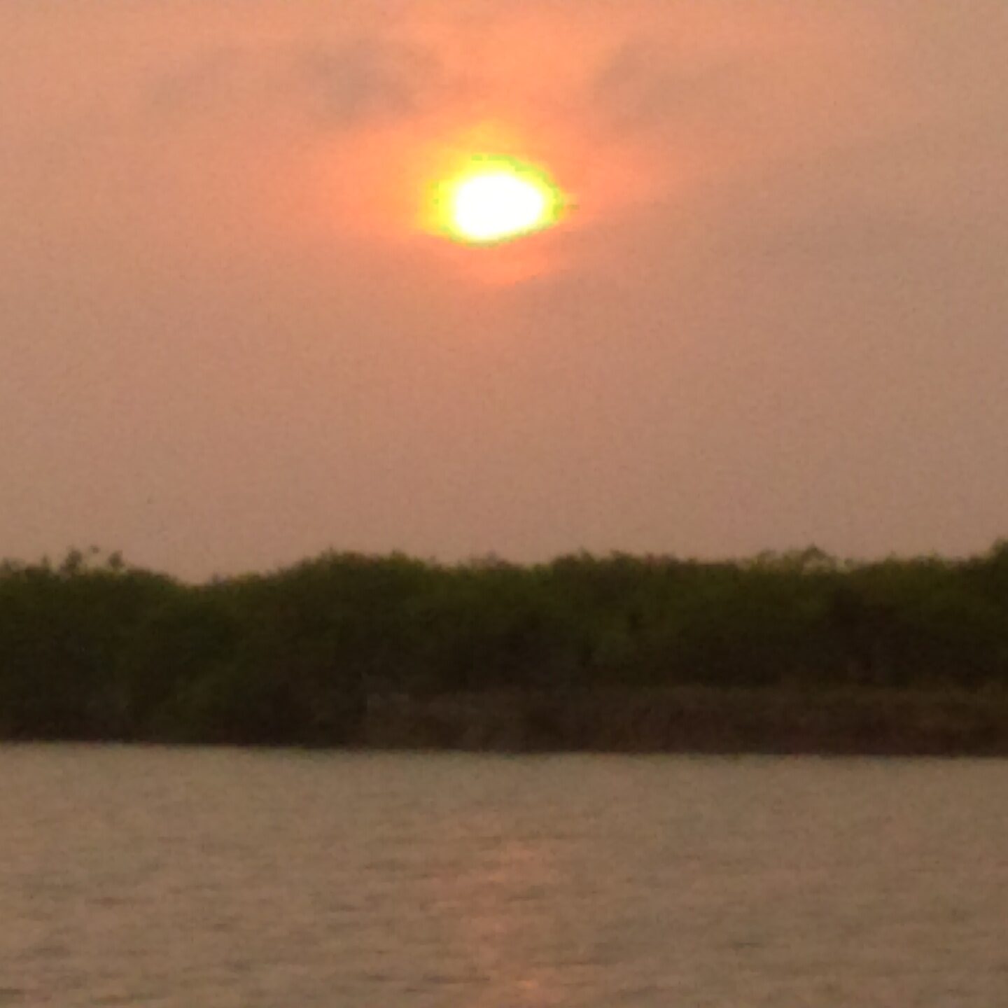 Sunset over calm water and trees.