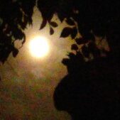 Moon shining through silhouetted tree branches.