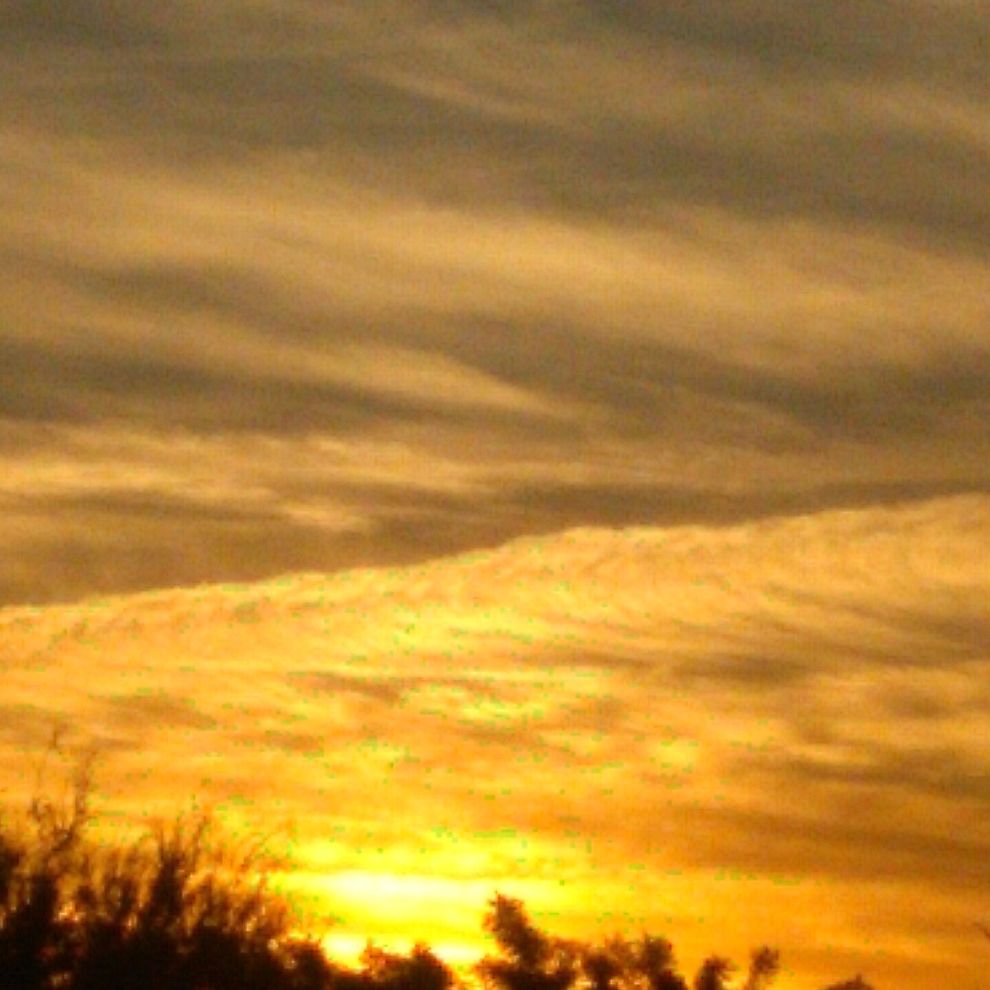 Golden sunset with silhouetted trees below.