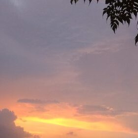 Sunset sky with tree silhouette.