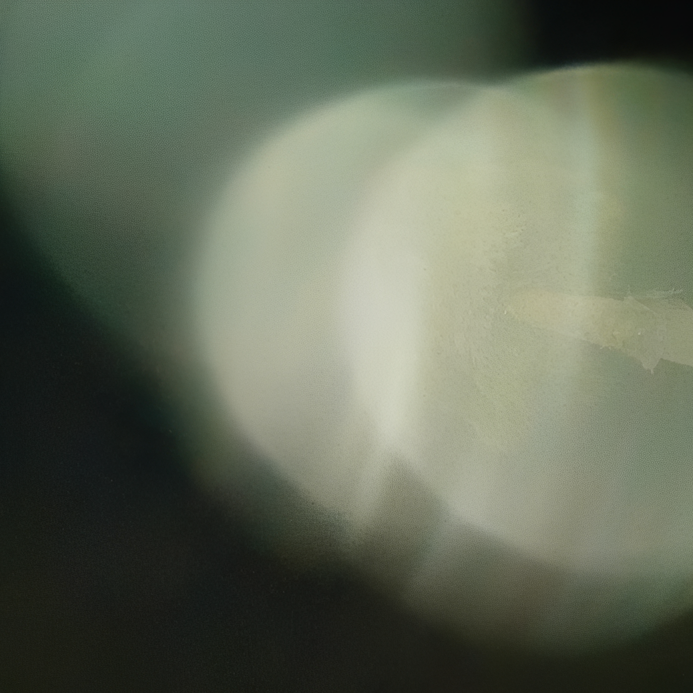 abstract green bokeh light circles