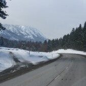 Snowy mountain road with pine trees.