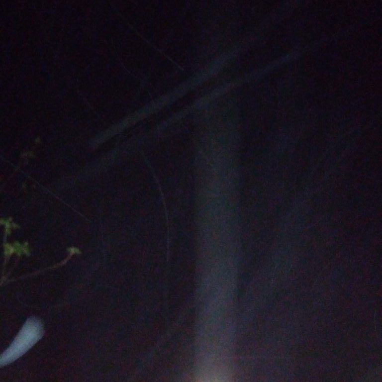 Moonlit night sky with faint tree branches.