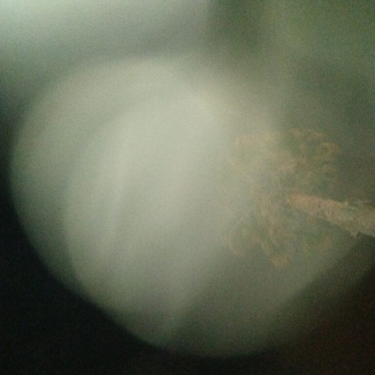 Blurry image of a tree at night.