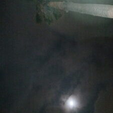 Palm tree silhouetted against cloudy night sky.