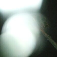 Blurry lights with dark background and stick.