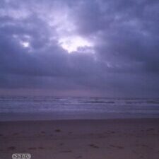 Cloudy beach at twilight with dark sky.