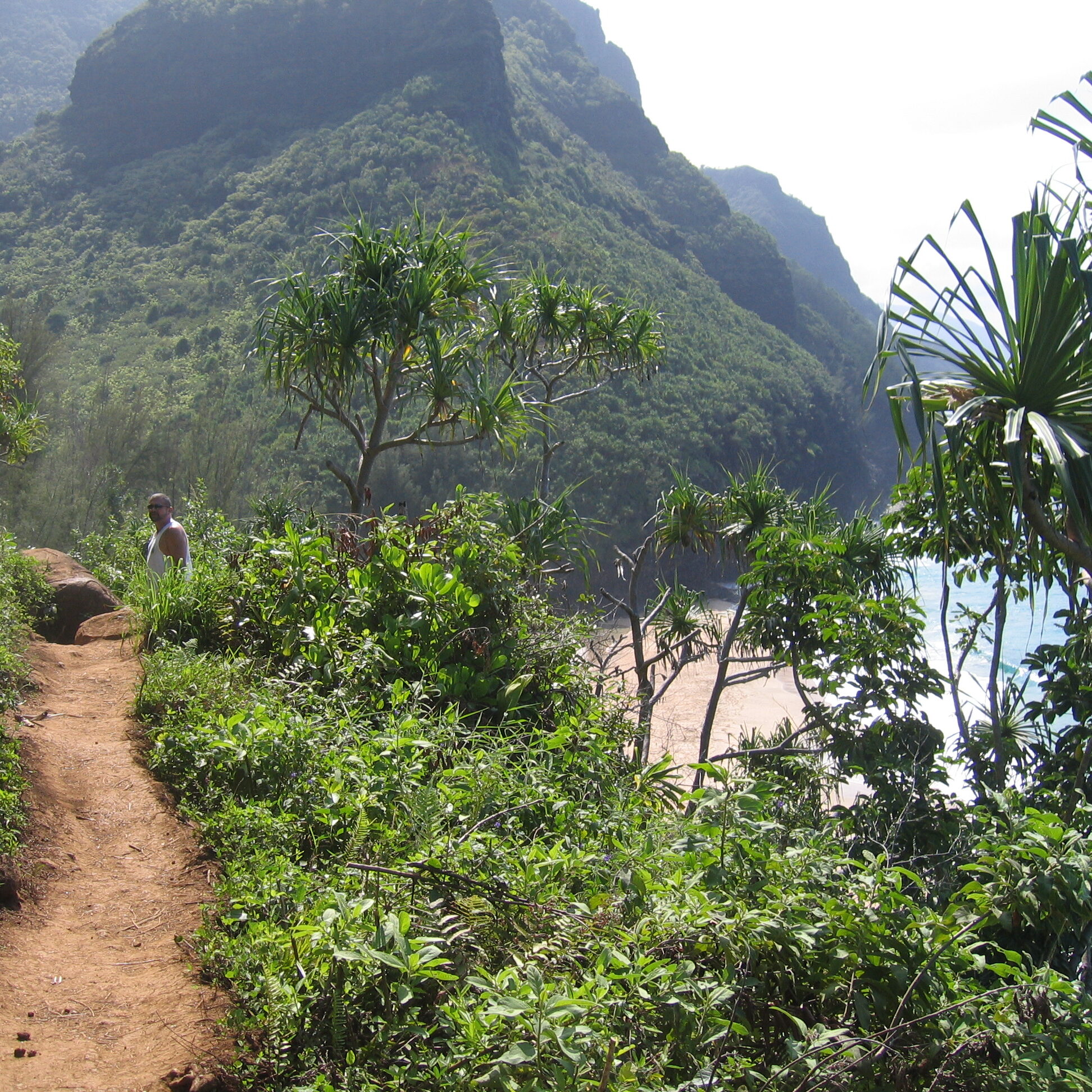 Coastal hiking trail through lush green landscape.