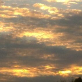 Golden sunset sky with silhouetted trees.