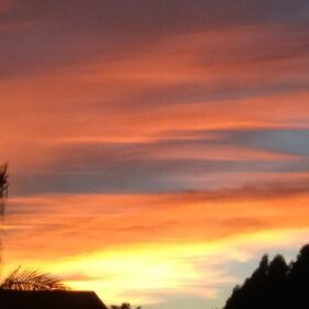 Vibrant sunset with silhouetted trees.