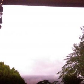 Trees and cloudy sky with hanging keys.