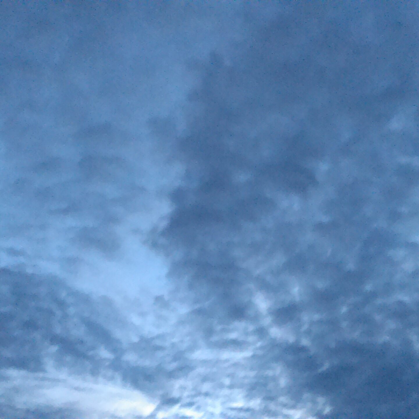 Cloudy sky with silhouette of palm tree.