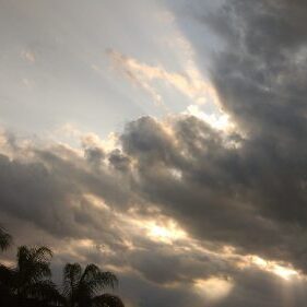 Cloudy sky with sun rays and trees.