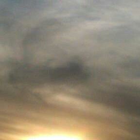 Cloudy sky with sunset and silhouetted trees.