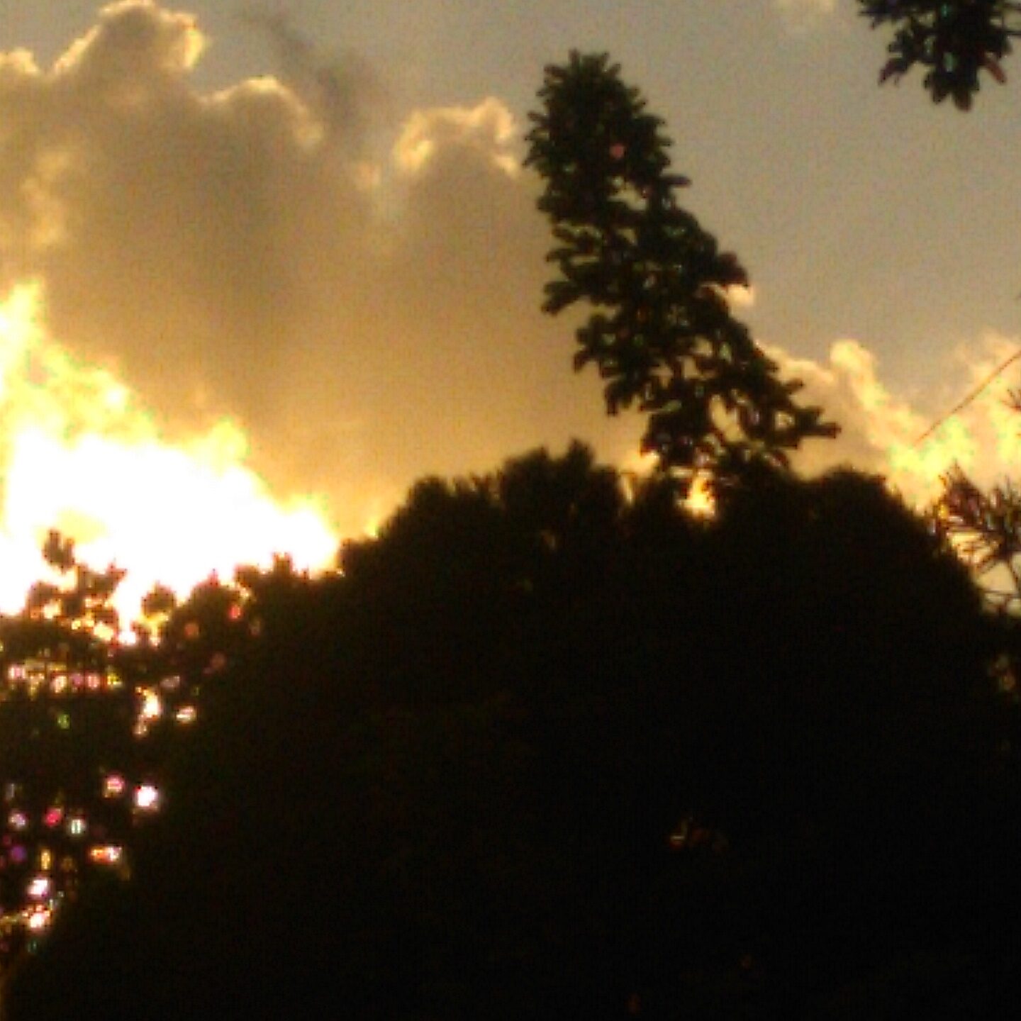 Sunset behind silhouetted trees and clouds.