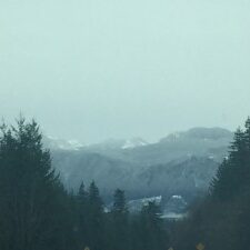 Snowy mountains with evergreen trees foreground.