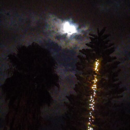 Moonlit night with illuminated tree and clouds.
